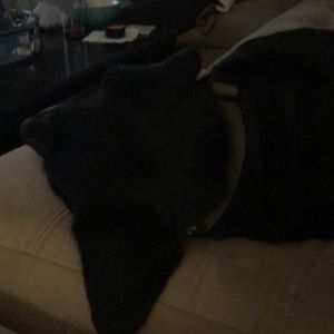 Meet your Posher, Pbrennan